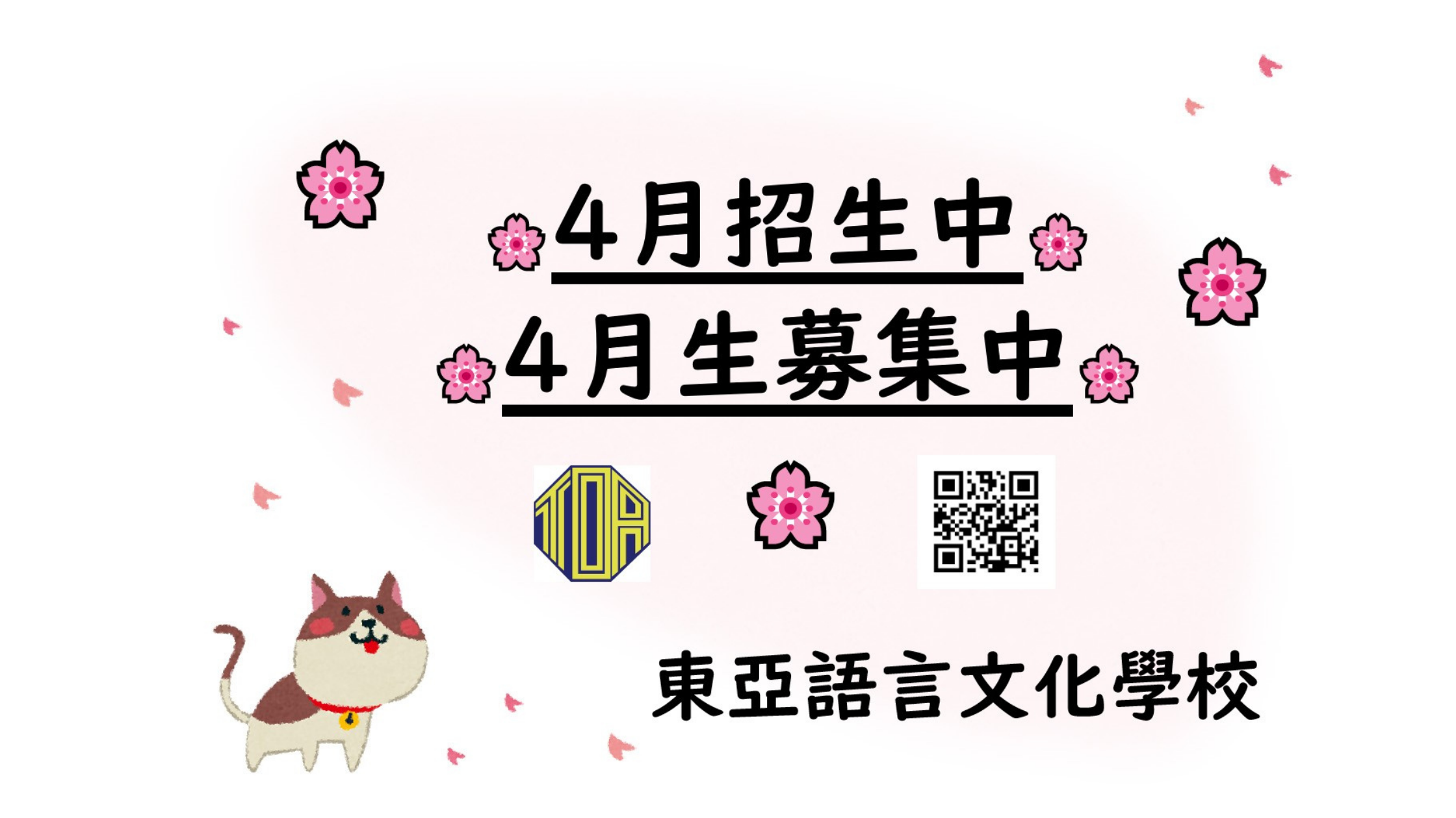 hongkong toa japanese school cantonese chinese summer courses 香港 東亞 日文 日本語 広東語 北京語