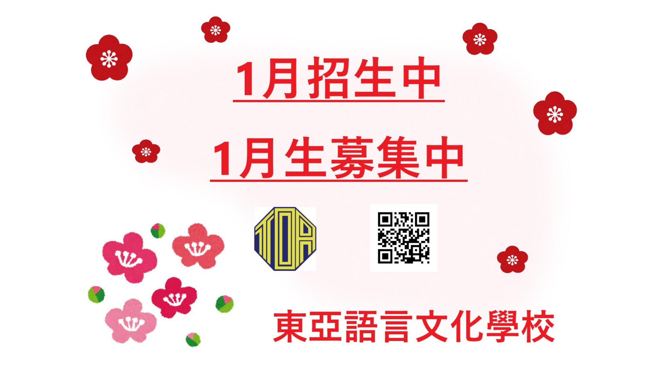 hongkong toa japanese school cantonese chinese summer courses 香港 東亞 日文 日本語 広東語 北京語